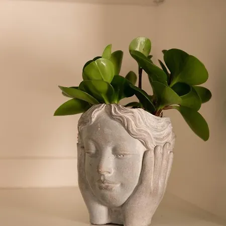 La Casa Di Mila 公寓 *